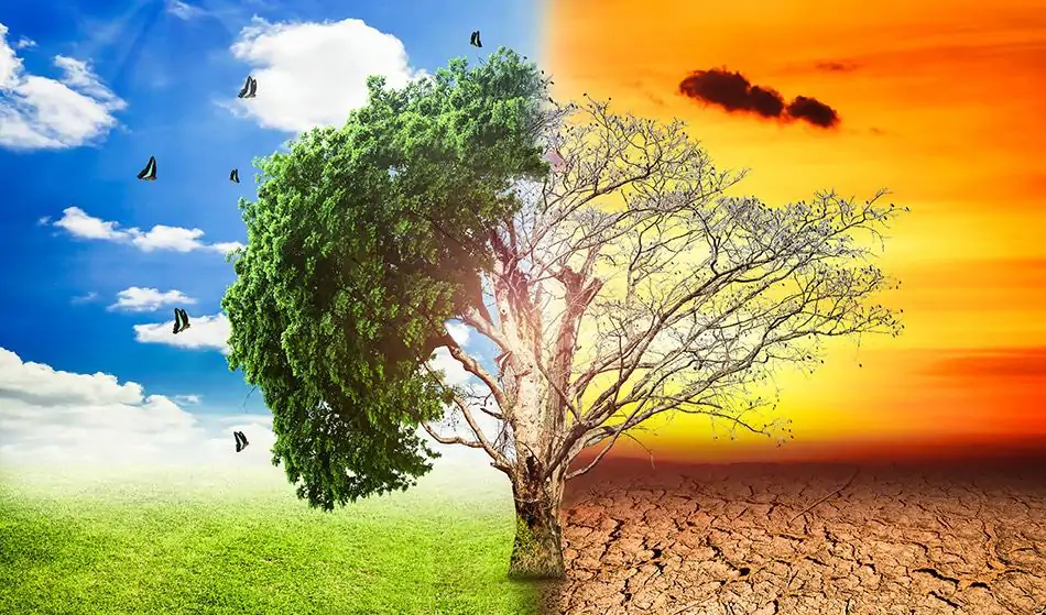 What’s the Difference Between Climate Change and Global Warming?