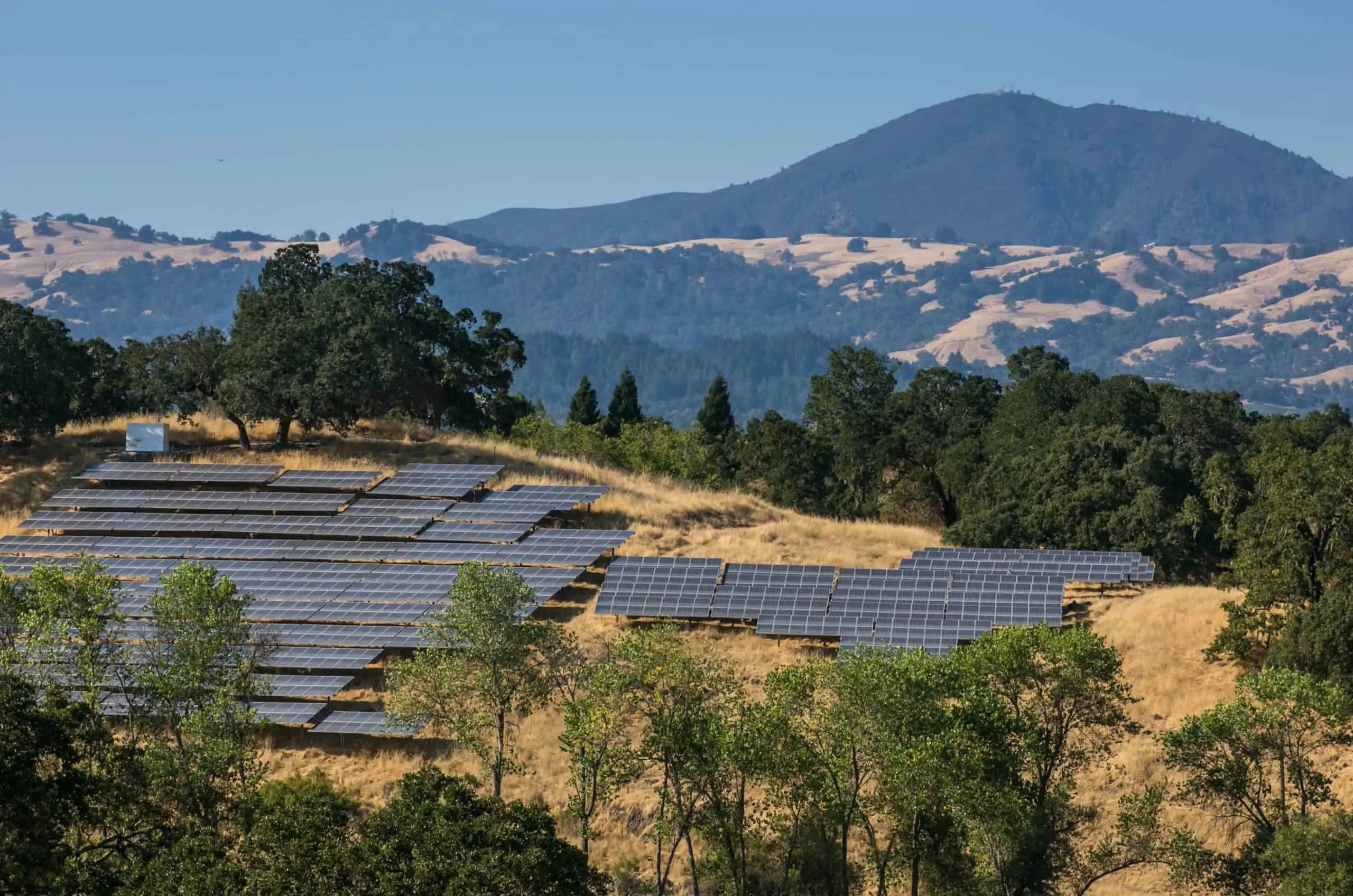 solar-farms sunline energy
